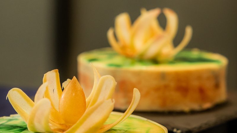 Editie 2026 in beeld